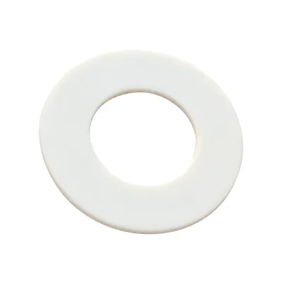 PTFE Gasket