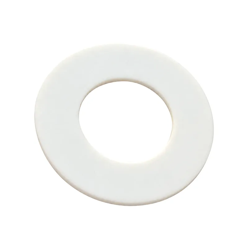 PTFE Gasket