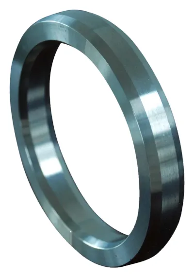 Type R Octagonal Ring Joint Gasket