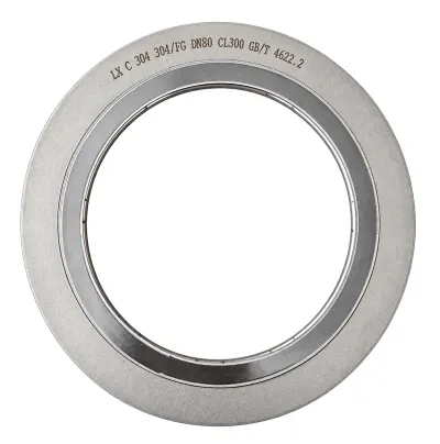 Spiral Wound Gasket with Centering Ring
