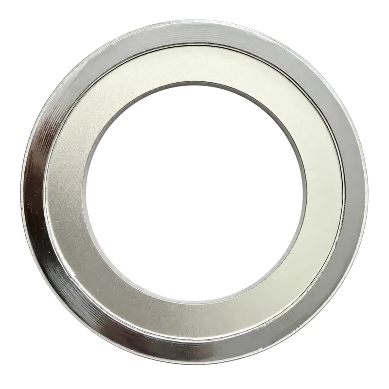 Spiral Wound Gasket with Inner Ring
