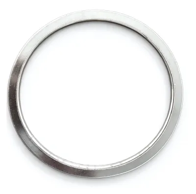 Spiral Wound Gasket without Rings